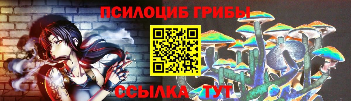 где продают наркотики  Псилоцибиновые грибы Psilocybe  Вход с VPN  Губкинский 