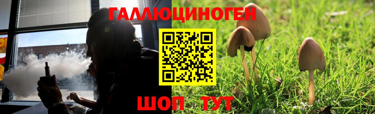 Галлюциногенные грибы мухоморы Губкинский